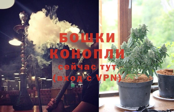 молекула духа Алексин